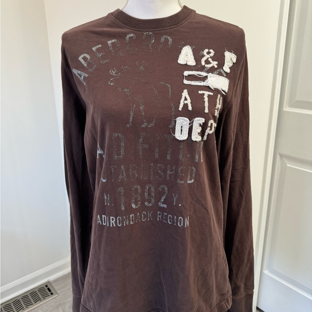 Abercrombie & Fitch Brown Graphic Long Sleeve Shirt